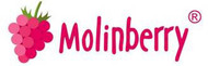 Molinberry